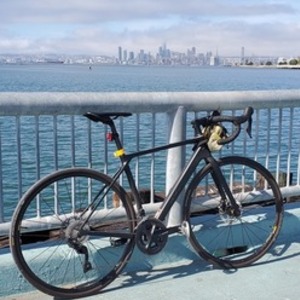 2019 Canyon bicycles Endurace CF SL 7.0 Black