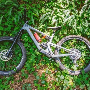 2019 Santa Cruz bronson cc Silver, gray or bare metal