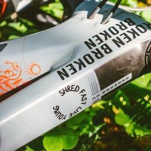 2019 Santa Cruz bronson cc Silver, gray or bare metal