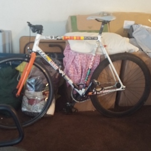 Pake Rum Runner Track frameset  White and Stickers tape or other cover-up