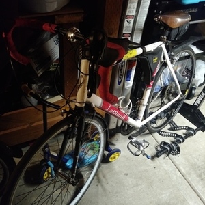 2005 LeMond Racing Cycles reno White