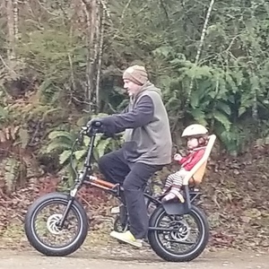 2019 Rad Power Bikes Mini Black