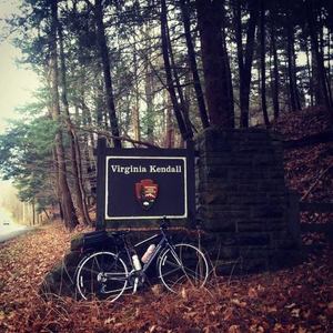 2014 Specialized Vita  Purple