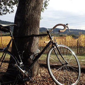 2014 I made the bike custom myelf Custom steel road bike very tall  Black