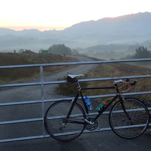 2014 I made the bike custom myelf Custom steel road bike very tall  Black