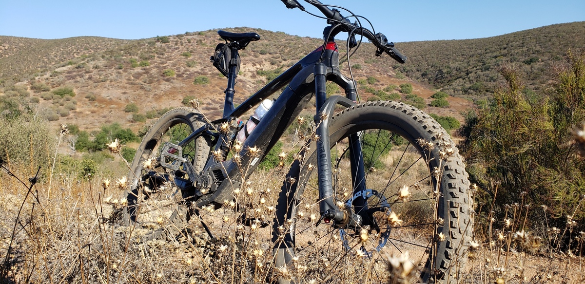 trek powerfly 9.7 carbon 2019