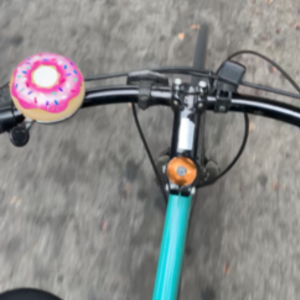 2017 Pure Cycles Ando Teal