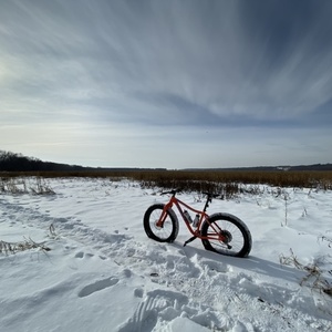 2019 Fatback Rhino Orange