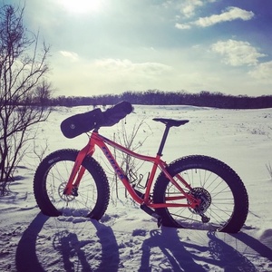 2019 Fatback Rhino Orange