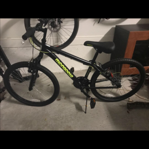 Mongoose Black and Green