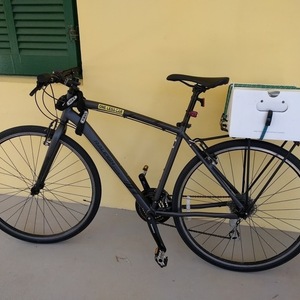 2015 Raleigh Misceo 1.0 Silver, gray or bare metal