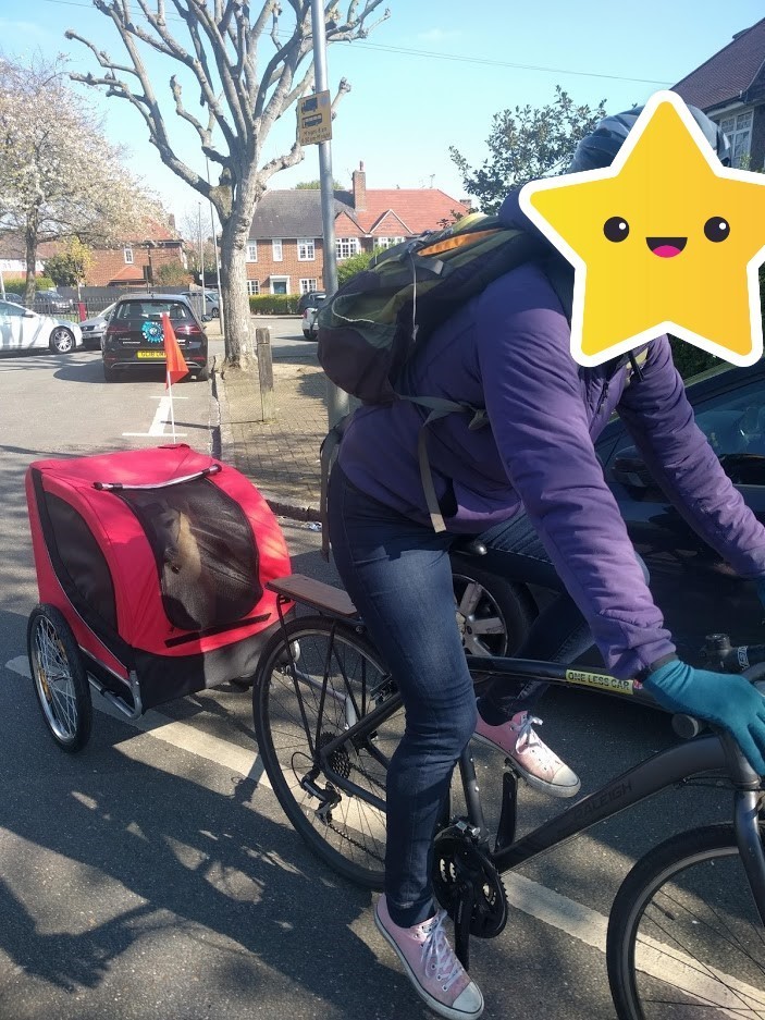 Stolen 2015 Raleigh Misceo 1.0