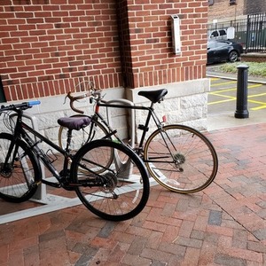 2019 Trek FX3 WSD DISC Black
