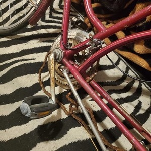 1972 Schwinn Breeze Red