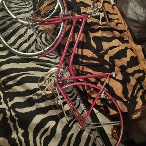 1972 Schwinn Breeze Red