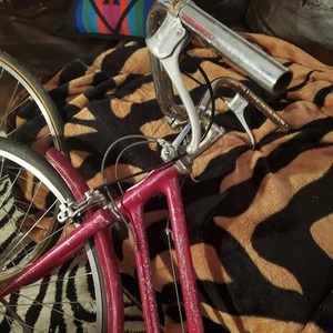 1972 Schwinn Breeze Red