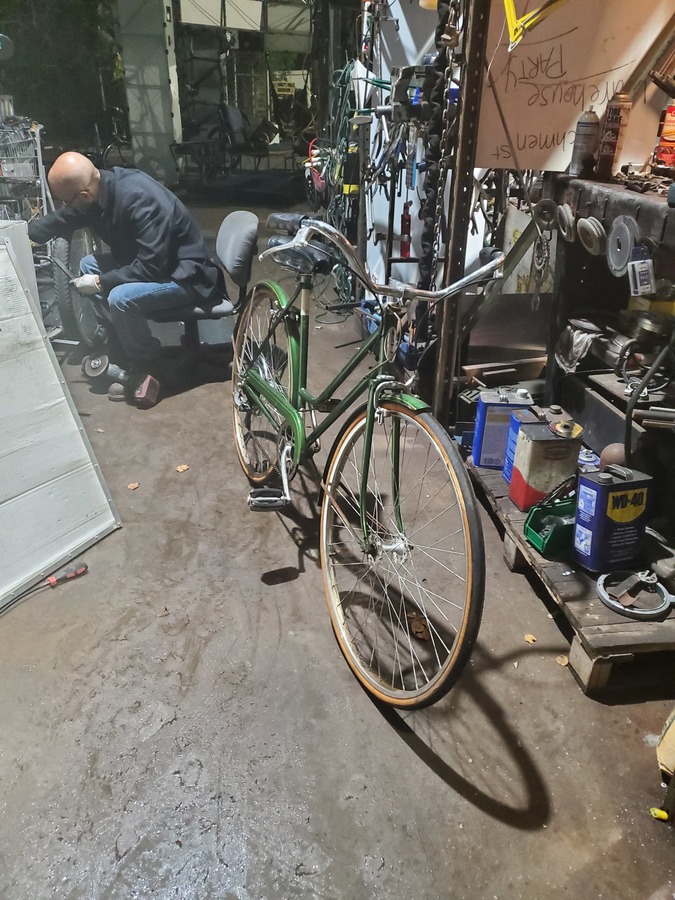 schwinn suburban vintage green