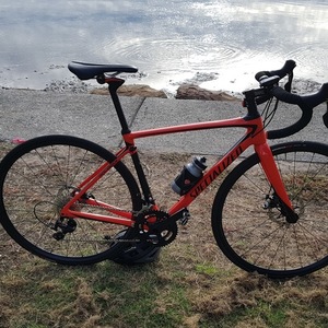 2017 Specialized Roubaix Red