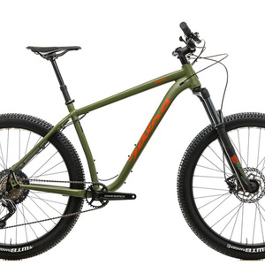 2019 Salsa Timberjack Green