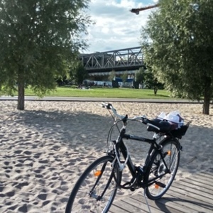 2017 vortex City bike Herren Black