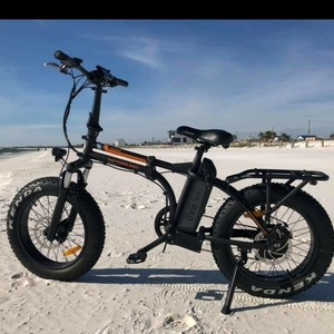 2018 Rad Power Bikes RADMINI Black