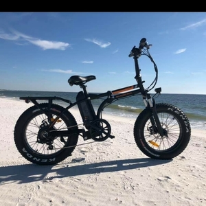 2018 Rad Power Bikes RADMINI Black