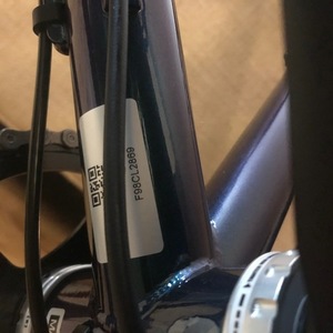 2019 Kona Sutra LTD Green