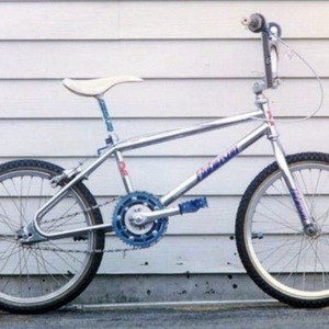 1988 Robinson Pro Team Silver, gray or bare metal