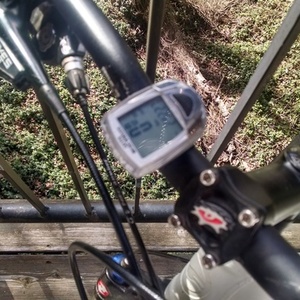 2008 Giant Trance 1  White