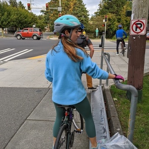 Trek 820 Green
