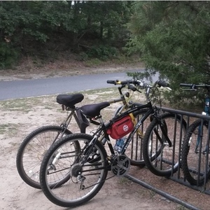 1999 Diamondback Wildwood Green