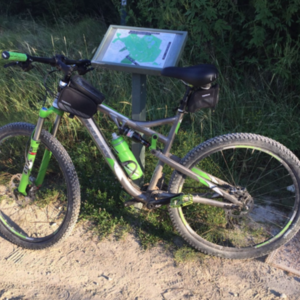 Trek Rumblefish Elite Silver, gray or bare metal, Green, and White