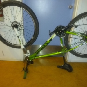 Trek Marlin Green and White