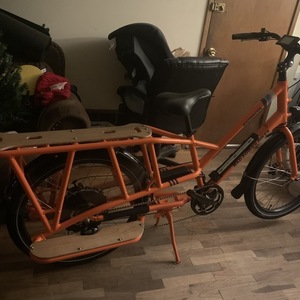 2019 Rad Power Bikes WB719J100152 cargo bike (rear storage) Orange