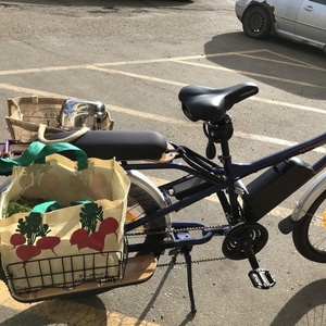2017 Rad Power Bikes Radwagon Blue