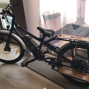 2017 Rad Power Bikes Radwagon Blue