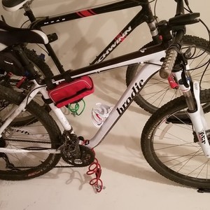 2013 Brodie White and Black
