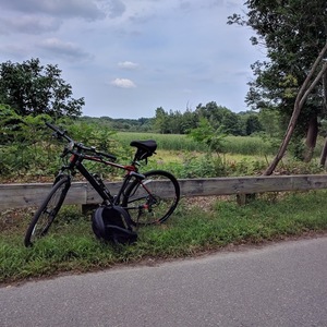 2018 Giant Roam 2 Black and Red