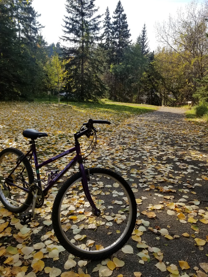Bike photo