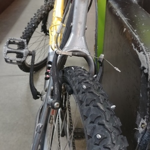 Trek 4300 Yellow or Gold