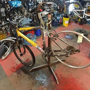 Trek 4300 Yellow or Gold