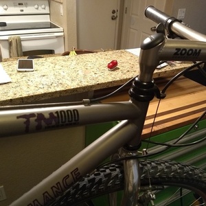 1995 Performance TM-1000 XT Silver, gray or bare metal