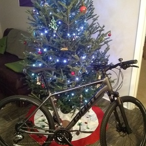 2020 Giant Roam 2 Black and Silver, gray or bare metal