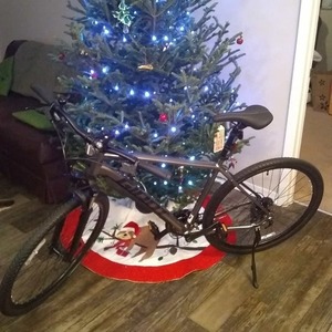 2020 Giant Roam 2 Black and Silver, gray or bare metal
