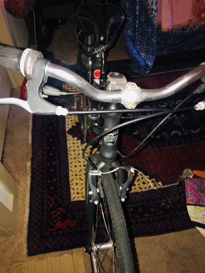 ll bean schwinn bicycles