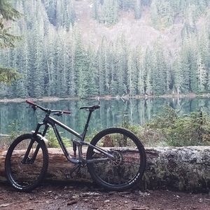 2018 Transition Bikes Sentinel Silver, gray or bare metal