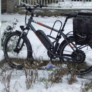 2019 Rad Power Bikes RadCity 19" tall bike Silver, gray or bare metal