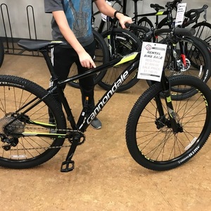 2018 Cannondale [RENT] 19 Trail2 Black