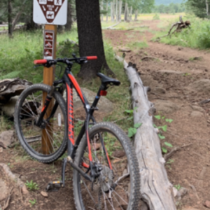 2017 Specialized Rockhopper sport Black and Red