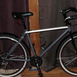 Trek Mtn. Track 850  Silver or Gray